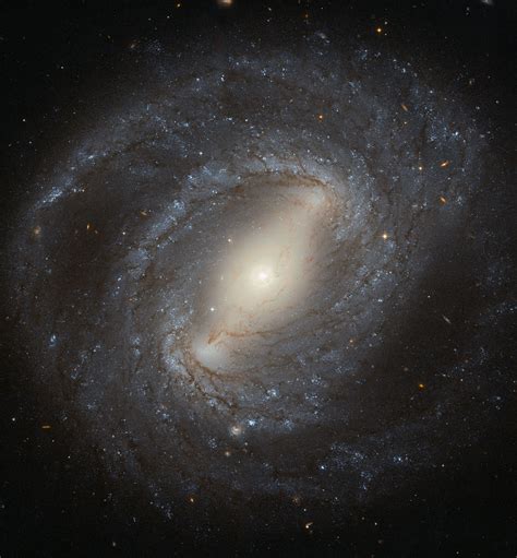 Hubble Spies the Barred Spiral Galaxy NGC 4394 | NASA