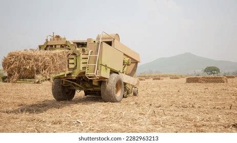 9 Fire Truck Gold Leaf Images, Stock Photos & Vectors | Shutterstock