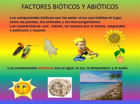 Resultado de imagen para seres bioticos y abioticos | Factores bioticos ...