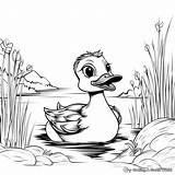 Yellow Duck Coloring Pages  Free & Printable sketch template