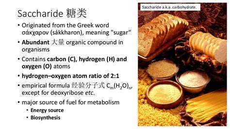 1.3 saccharide UEC Senior 1 Biology 独中高一生物