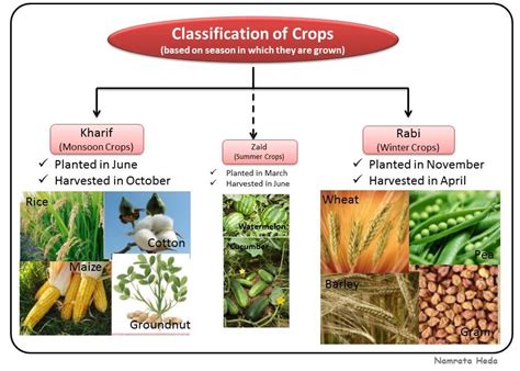 B for Biology: Crop Production and Management (Part I)