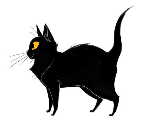 700: Black Cat FAQ | Submissions | Patreon | Etsy Black Cat Anime, Cat Doodle, Cat Character ...