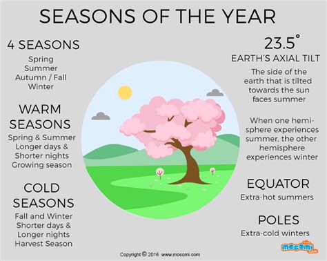 What Are The Four Seasons - pranploaty