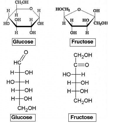 Why are glucose fructose and galactose isomers? - Quora