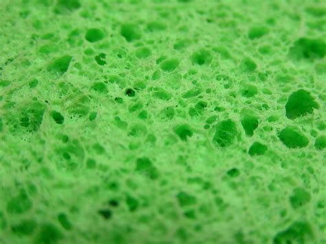 Green Sponge | Michael Porter | Flickr