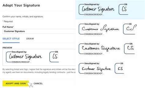 DocuSign Signature Example