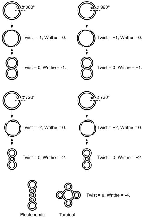 Chapter 4: DNA, RNA, and the Human Genome - Chemistry