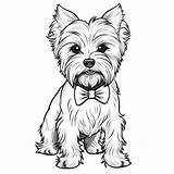 Yorkshire Terrier  Yorkie Coloring Page Pet Portrait Printable sketch template