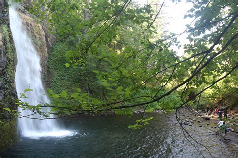 Horsetail Falls - A Popular Falls by Old Columbia River Hwy