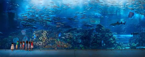 Dubai Aquarium and Underwater Zoo