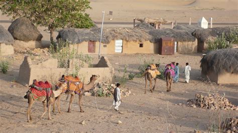 India - Thar Desert The Thar Desert is a living and dynamic eco-system, with vegetation and ...