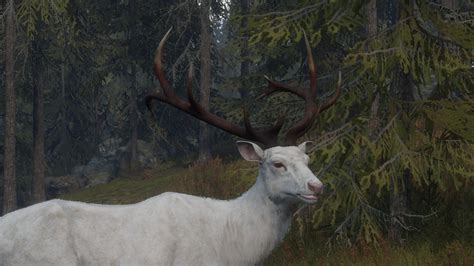 Beautiful Albino Elk! : r/theHunter