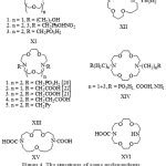 Analysis of the Possibility of the Crown Ether Structure Modification by the Introduction of ...