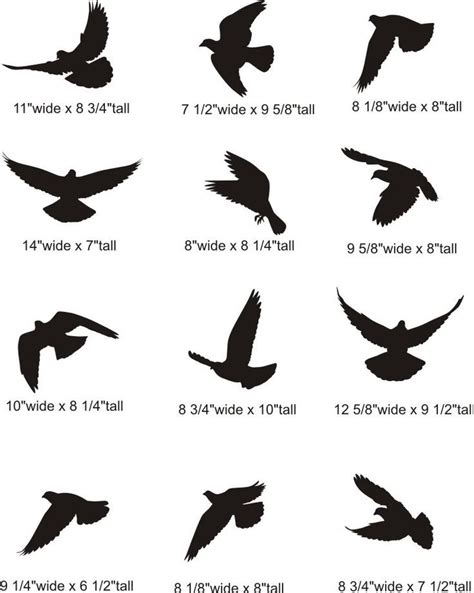 Siluetas de aves - pájaros. silhouette of two birds flying - Google ...