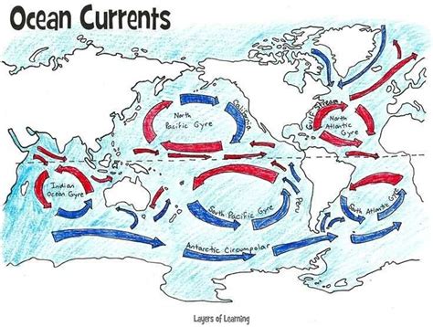 Ocean Surface Currents Worksheet | Ocean current, Ocean science, Earth and space science