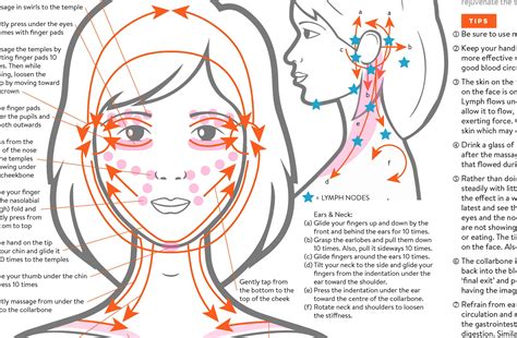 Facial lymph massage direction guide poster PRINTABLE/ | Etsy