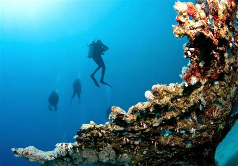 6 Best Places for Scuba Diving in Andaman (2019) - The Land of Beauty