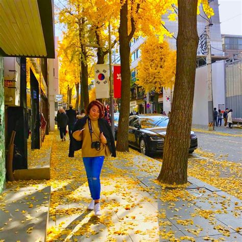 Ultimate Guide to an Autumn Trip in Seoul, South Korea | Autumn in korea, Fall travel, Seoul