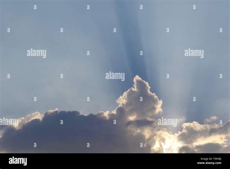 Stunning Crepuscular Sun Rays from Behind Cumulus Mediocris Cloud at ...