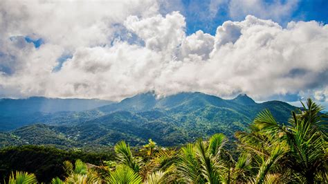 15 Best Things to Do in Puerto Rico | Condé Nast Traveler