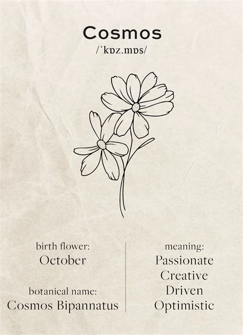 October Birth Flower Meaning | ubicaciondepersonas.cdmx.gob.mx