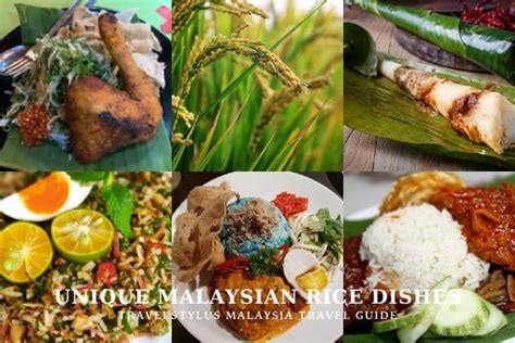 14 Unique Malaysian Rice Dishes To Enjoy in Malaysia - Travel Stylus