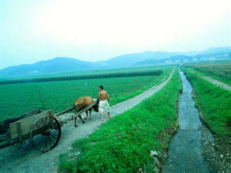 Pyongyang and the Rural North Korean countryside | Countryside, North ...