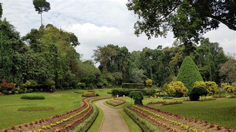 Kandy Royal Botanic Gardens : Sri Lanka | Visions of Travel