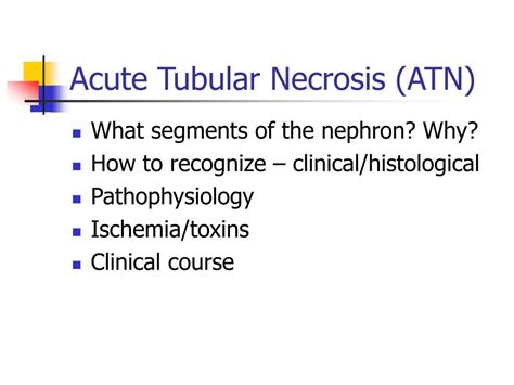 PPT - Acute Tubular Necrosis PowerPoint Presentation, free download ...