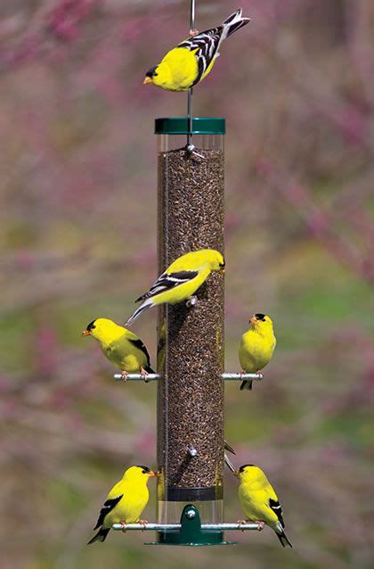 Royal Wing® Tin Roof Hopper Bird Feeder - Tractor Supply Online Store | Bird feeders & houses ...