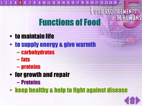 Functions of Food to maintain life to supply energy & give warmth - ppt download