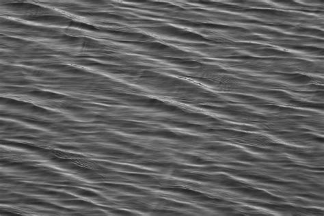 Black And White Water Surface Free Stock Photo - Public Domain Pictures