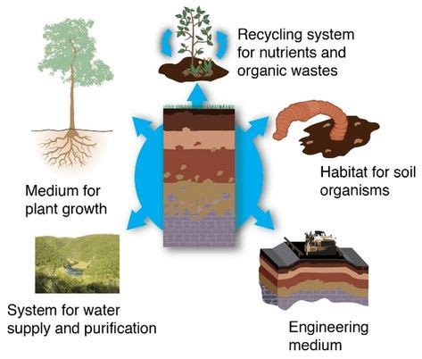 Soils as ecosystem service providers. | Learning science, Soil, Groundwater