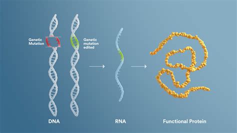 Gene Editing Research | Sarepta Therapeutics