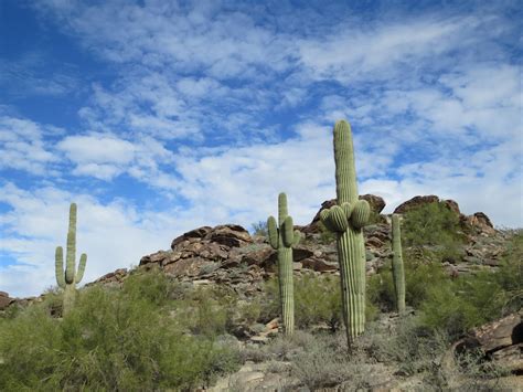 Have Book, Will Travel: South Mountain Park, Phoenix, Arizona