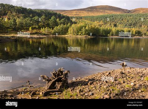 Glen Affric, Scotland, United Kingdom Stock Photo - Alamy