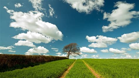 Landscape HD Wallpapers 1080p - WallpaperSafari