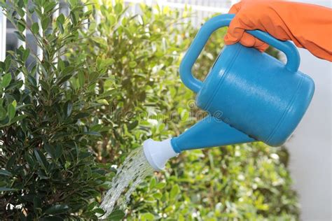 Bucket and a Spray Bottle stock image. Image of fuel, caretaker - 4222163