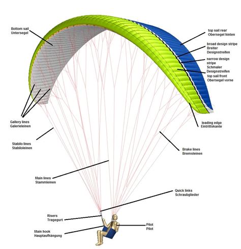 About paragliding - Do not dream, fly!