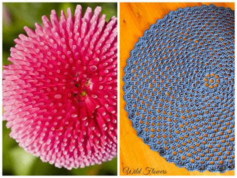 Blue crochet round rug Crochet Round, Boho Crochet, Crochet Flowers, Round Rugs, Crocheted Item ...
