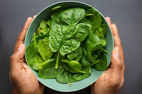 Different Types of Spinach Around the World - Don't Miss