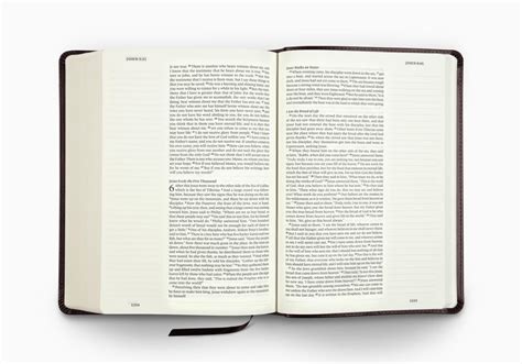 ESV Single Column Journaling Bible, Large Print (Trutone, Deep Brown) - English Standard Version ...