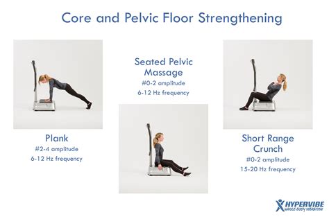 Core and pelvic floor strengthening routine #fitness #exercises #WBV # ...