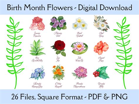 Birth Month Flowers, 12-months, Illustrated Flower Artwork, Square, Print-ready, Digital ...