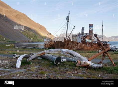 Old whaling station, Grytviken, South Georgia, South Atlantic Stock Photo - Alamy