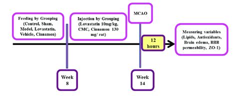 Schematic diagram of experimental design. | Download Scientific Diagram