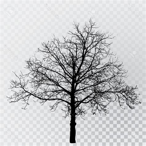 Winter Tree Silhouette Vector at Vectorified.com | Collection of Winter Tree Silhouette Vector ...