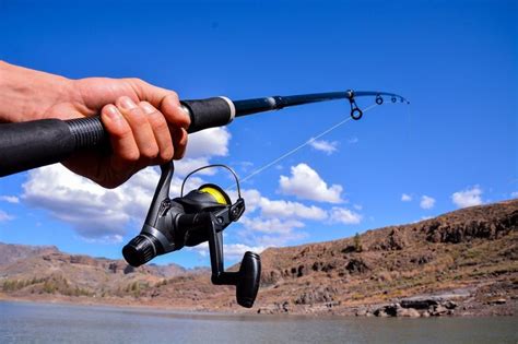 10 Best Telescopic Fishing Rod Review (No. 1 is AMAZING)