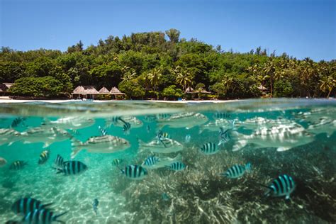 Fiji vs Tahiti: Where to go for your next tropical getaway